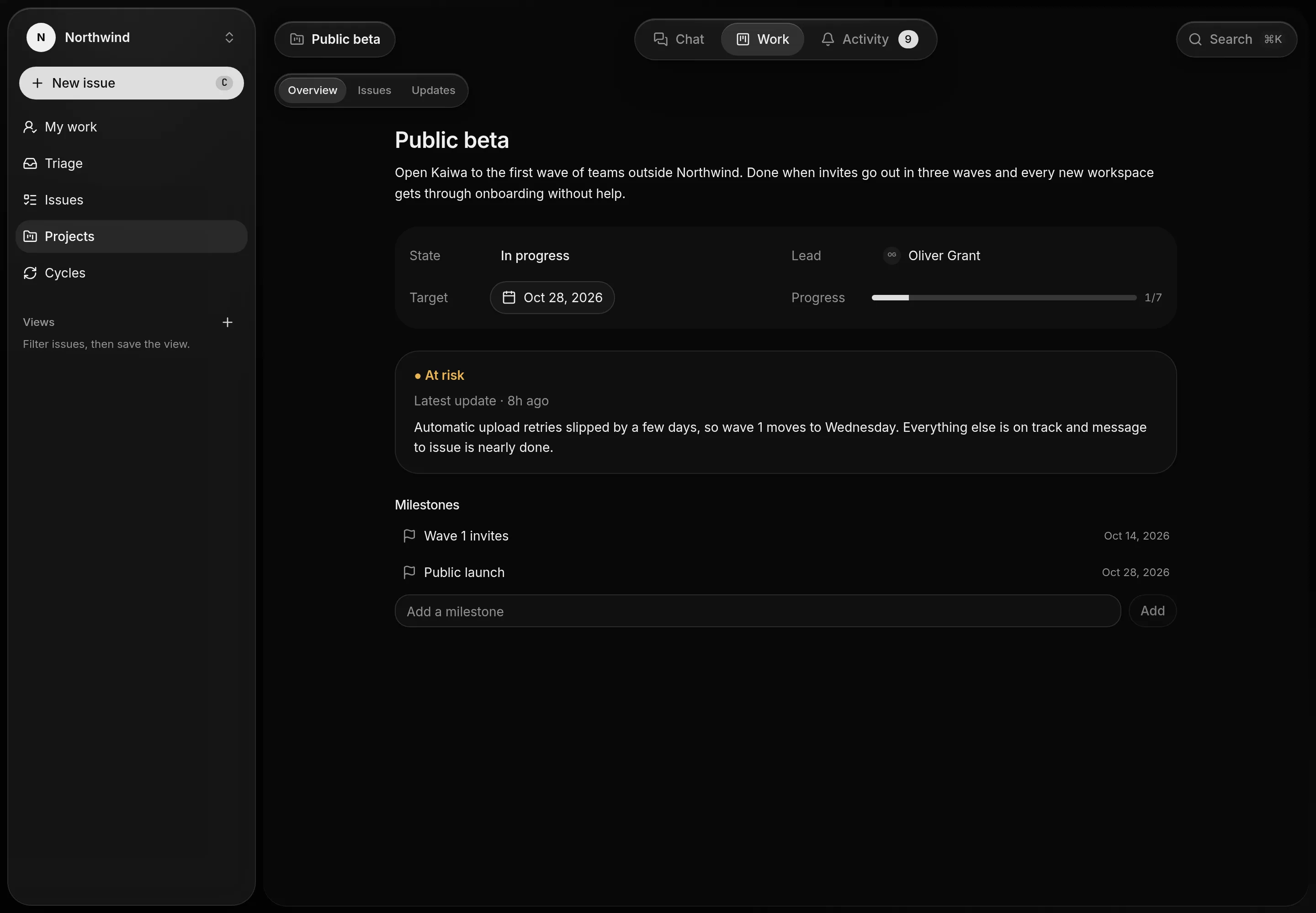 The Public beta project overview with its lead, target date, progress, an at-risk update and milestones.